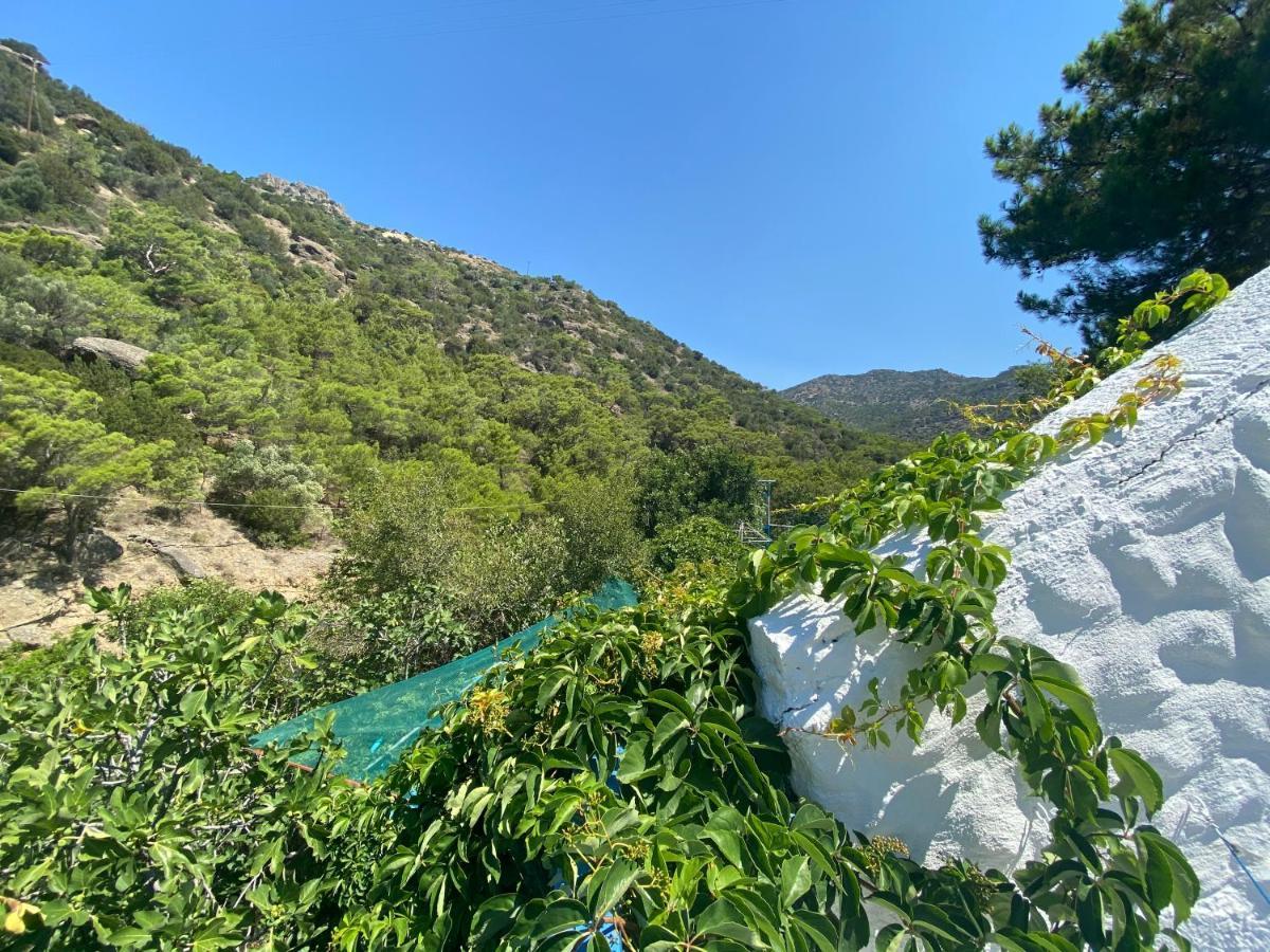 Oleander'S Garden Traditional Cretan Cottage Ferma Zewnętrze zdjęcie