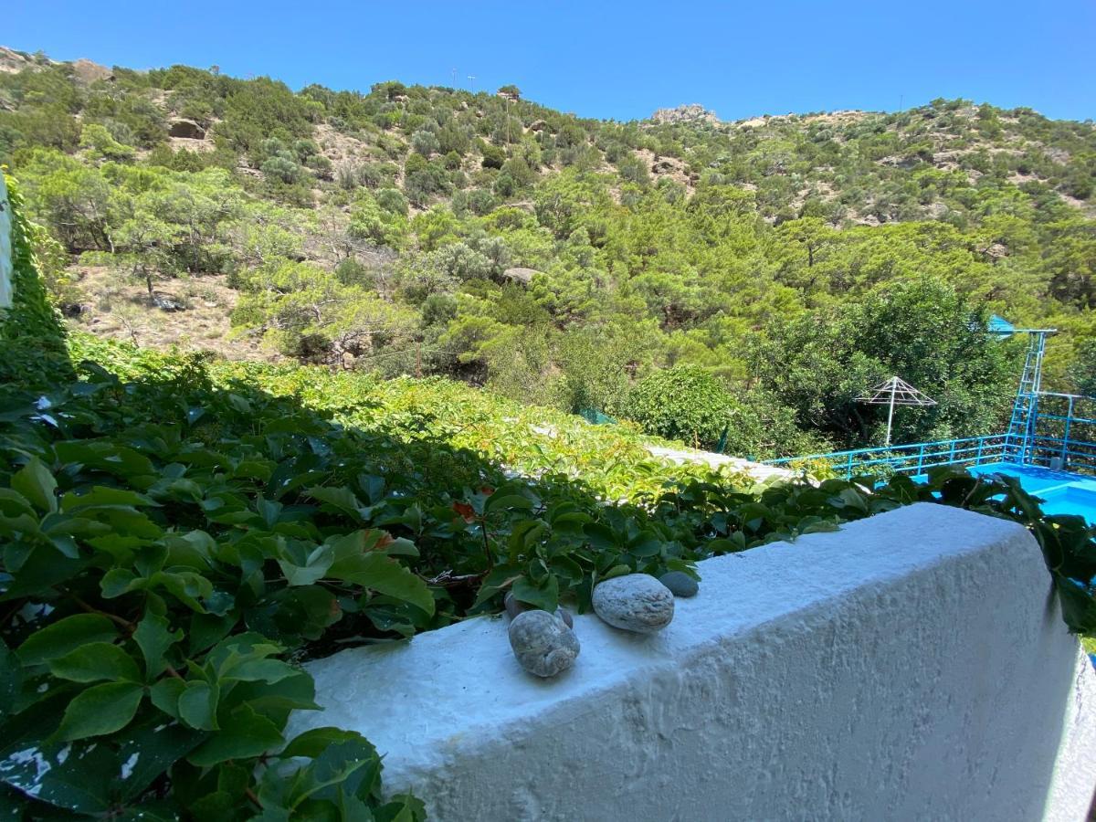 Oleander'S Garden Traditional Cretan Cottage Ferma Zewnętrze zdjęcie