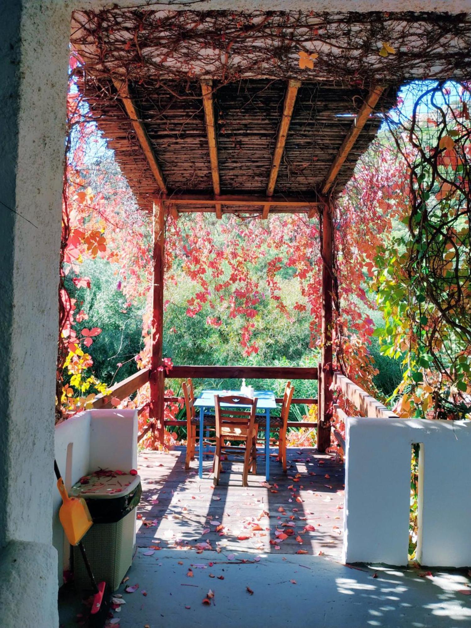 Oleander'S Garden Traditional Cretan Cottage Ferma Zewnętrze zdjęcie