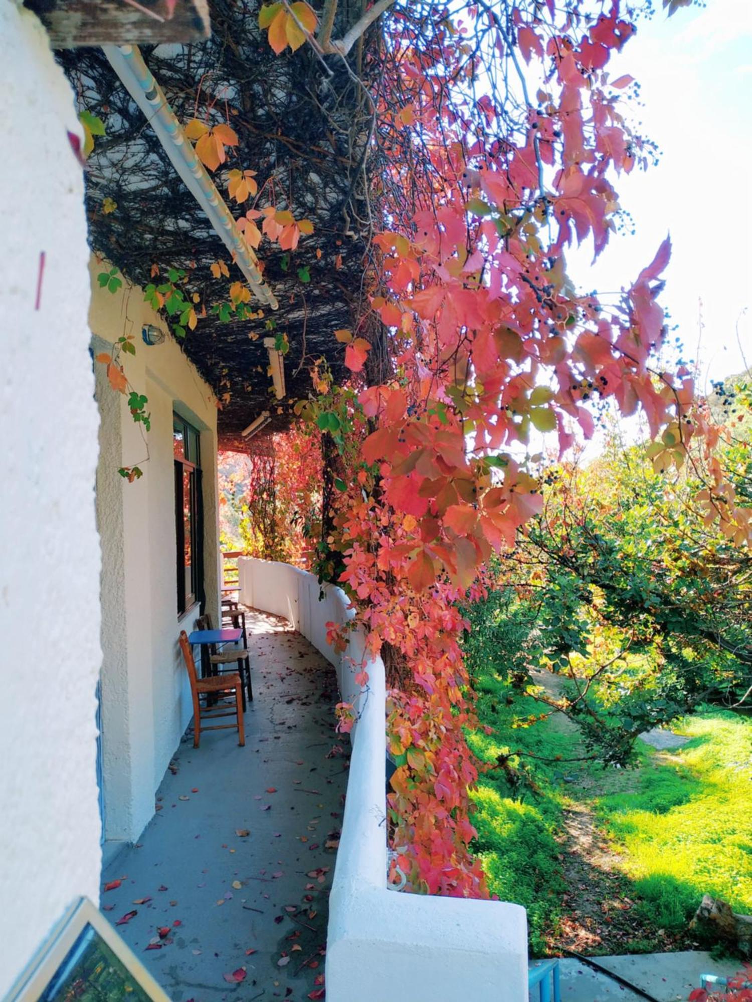 Oleander'S Garden Traditional Cretan Cottage Ferma Zewnętrze zdjęcie