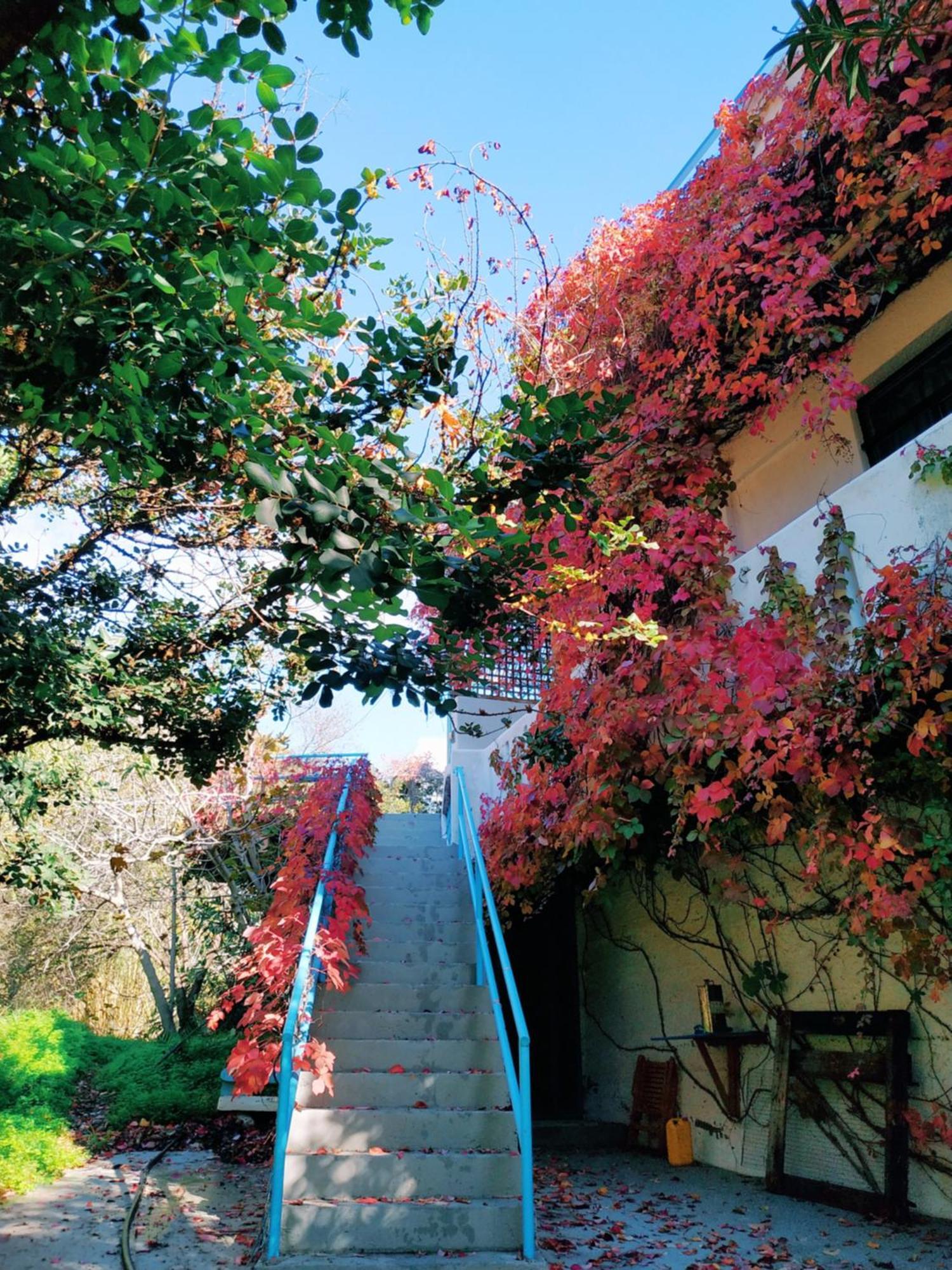 Oleander'S Garden Traditional Cretan Cottage Ferma Zewnętrze zdjęcie