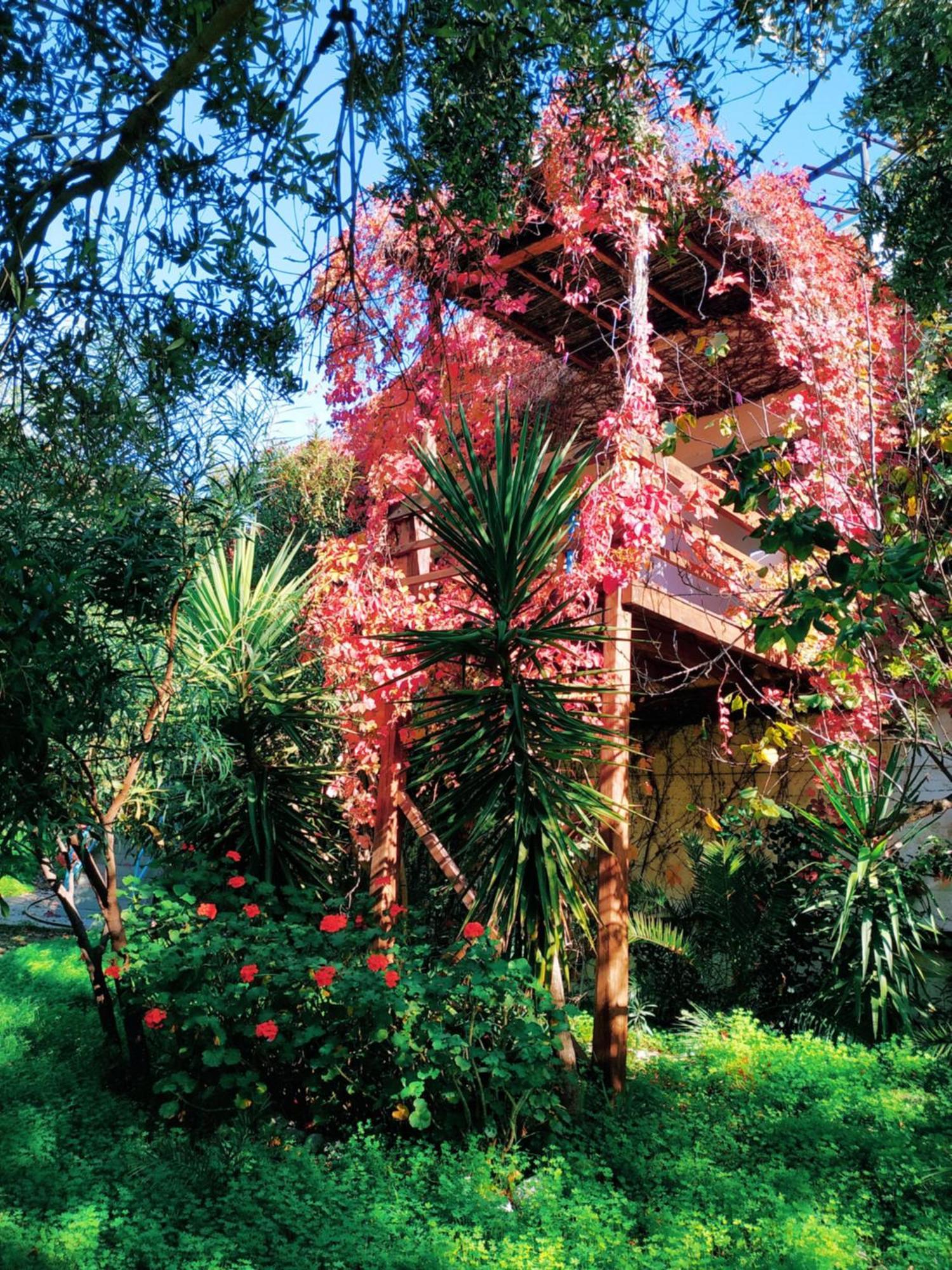 Oleander'S Garden Traditional Cretan Cottage Ferma Zewnętrze zdjęcie