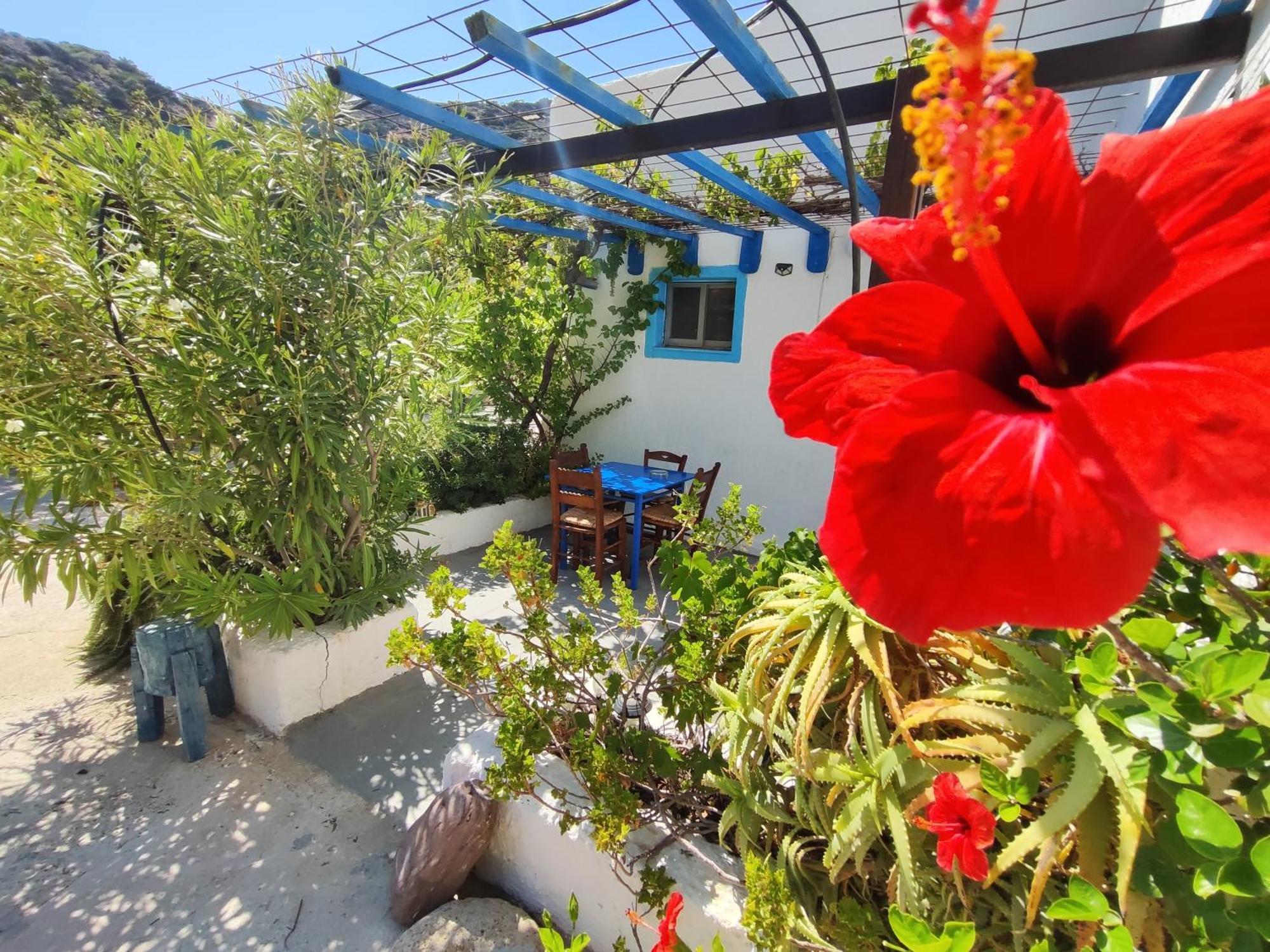 Oleander'S Garden Traditional Cretan Cottage Ferma Zewnętrze zdjęcie
