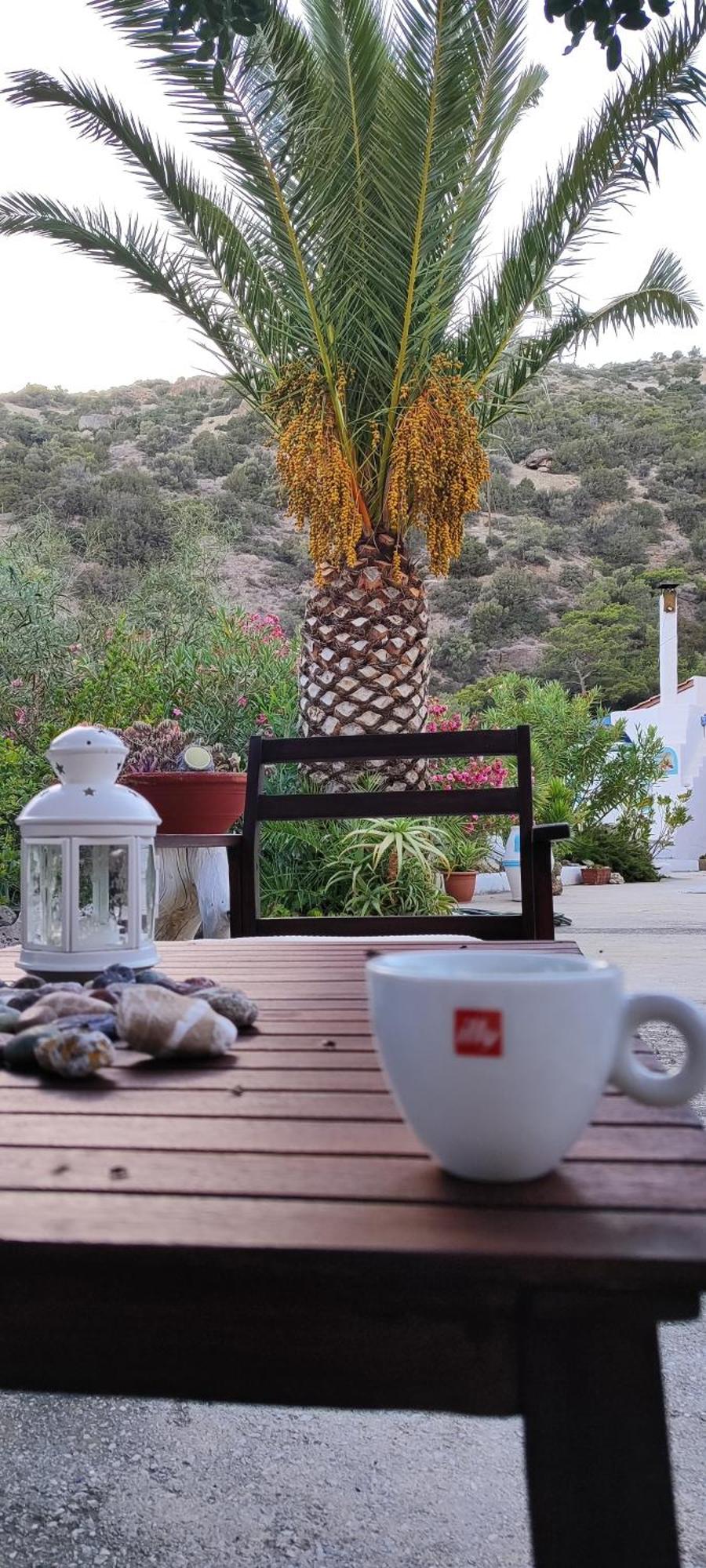 Oleander'S Garden Traditional Cretan Cottage Ferma Zewnętrze zdjęcie